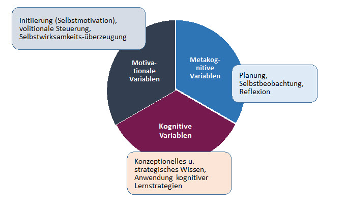fachlichesLernen-Bild